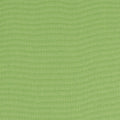 PALMER - Kiwi