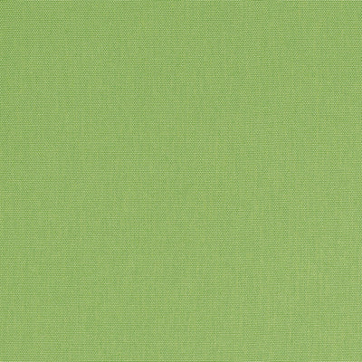PALMER - Kiwi