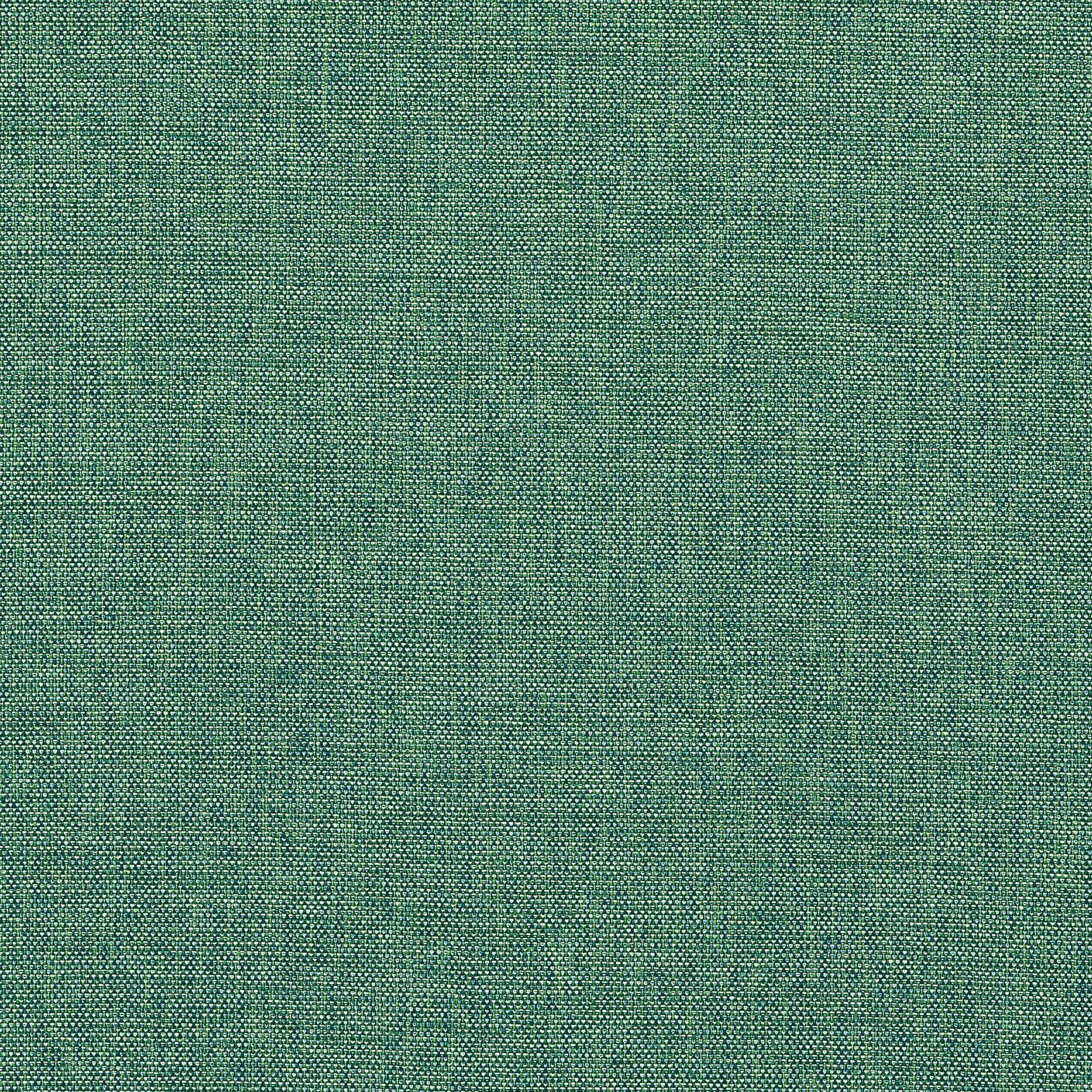 PALMER - Pine
