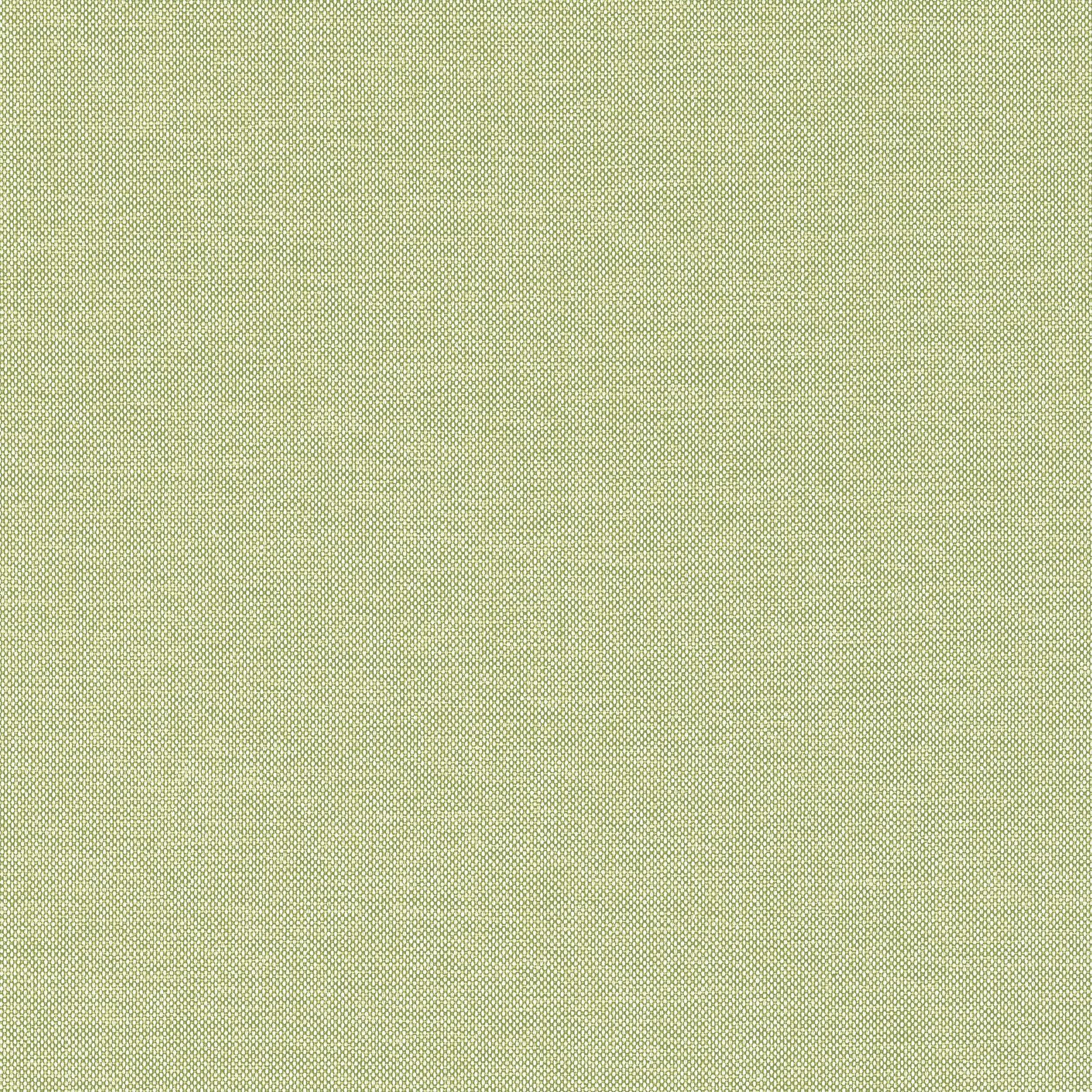 FINN - Kiwi