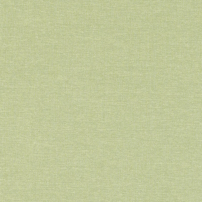 FINN - Kiwi
