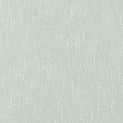 BRISTOL - Aloe