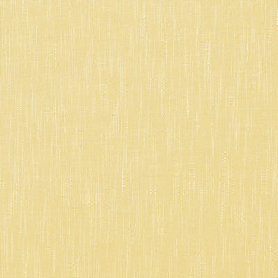 BRISTOL - Lemon