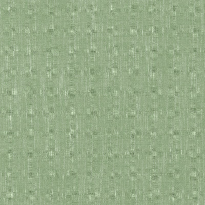 BRISTOL - Clover