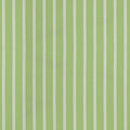 SEASIDE STRIPE - Kiwi
