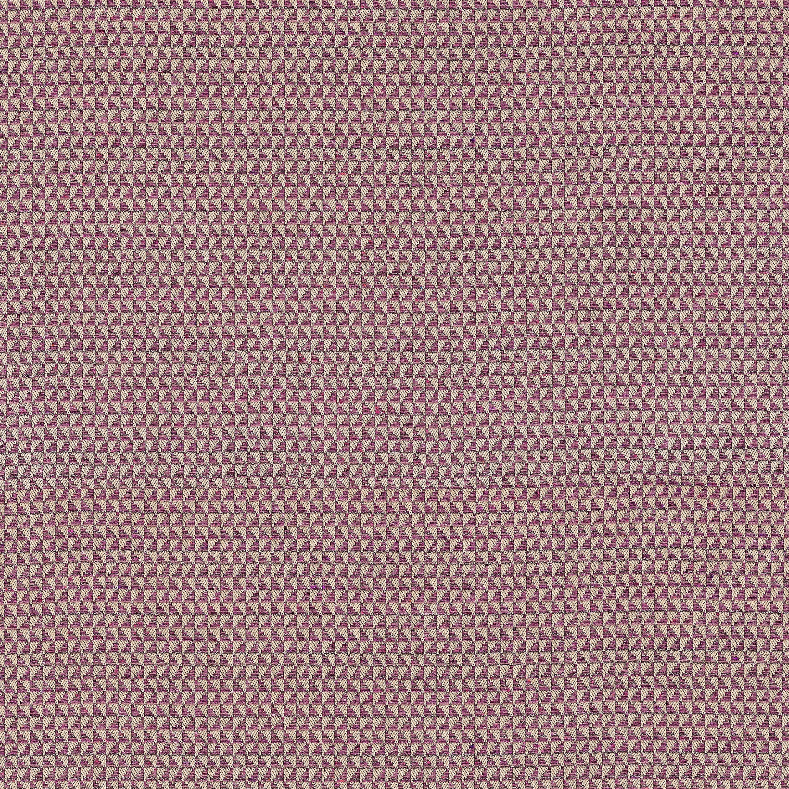POLLUX - Mulberry