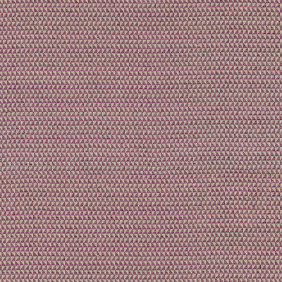 POLLUX - Mulberry