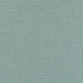 POLLUX - Peacock