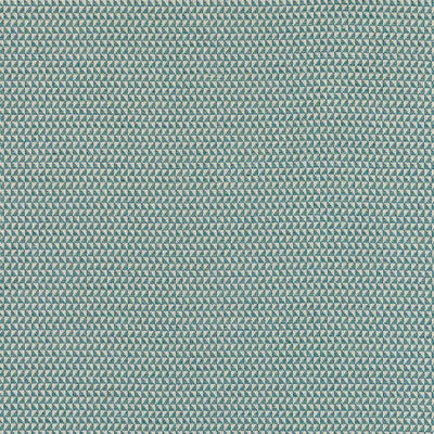 POLLUX - Peacock