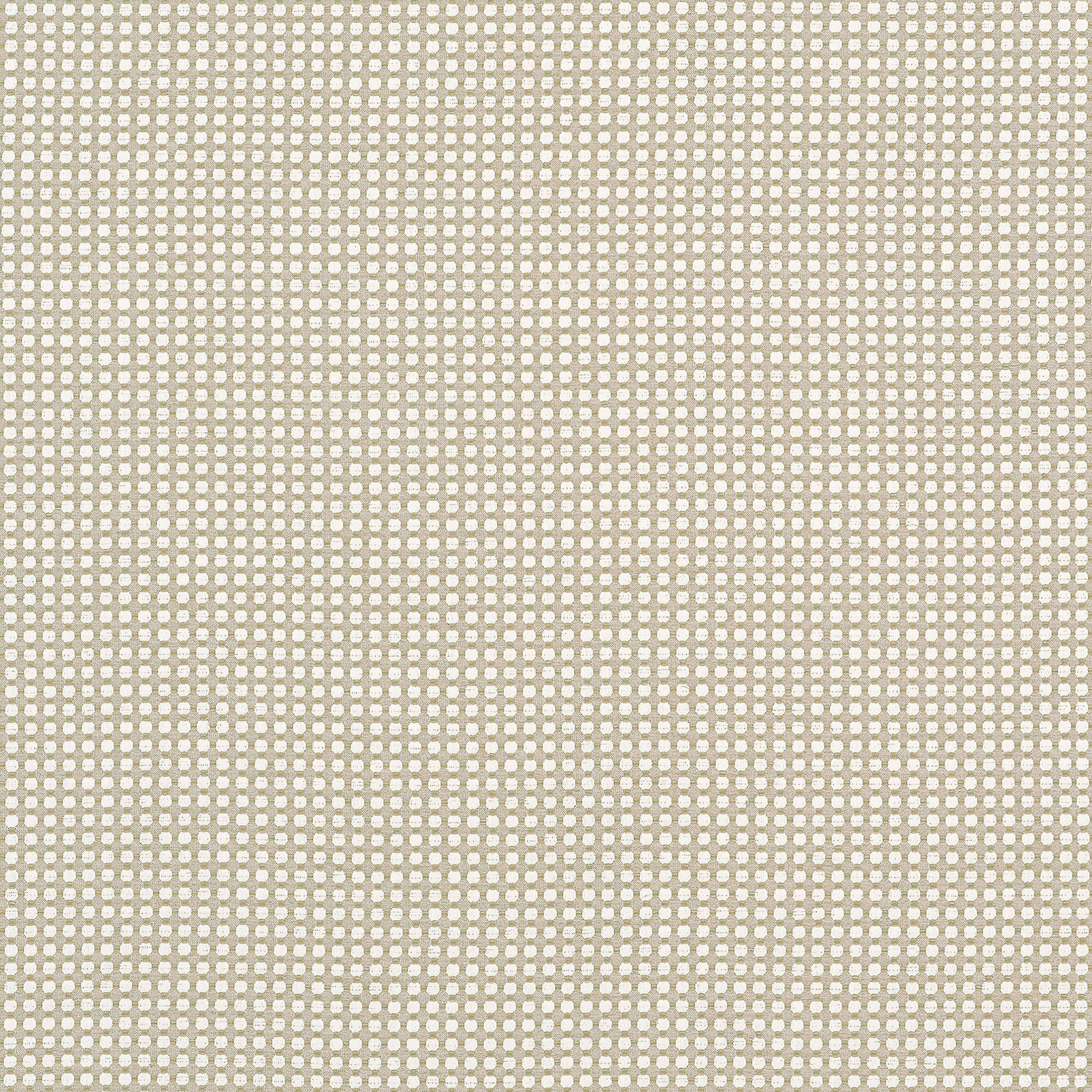 DARCY - Flax