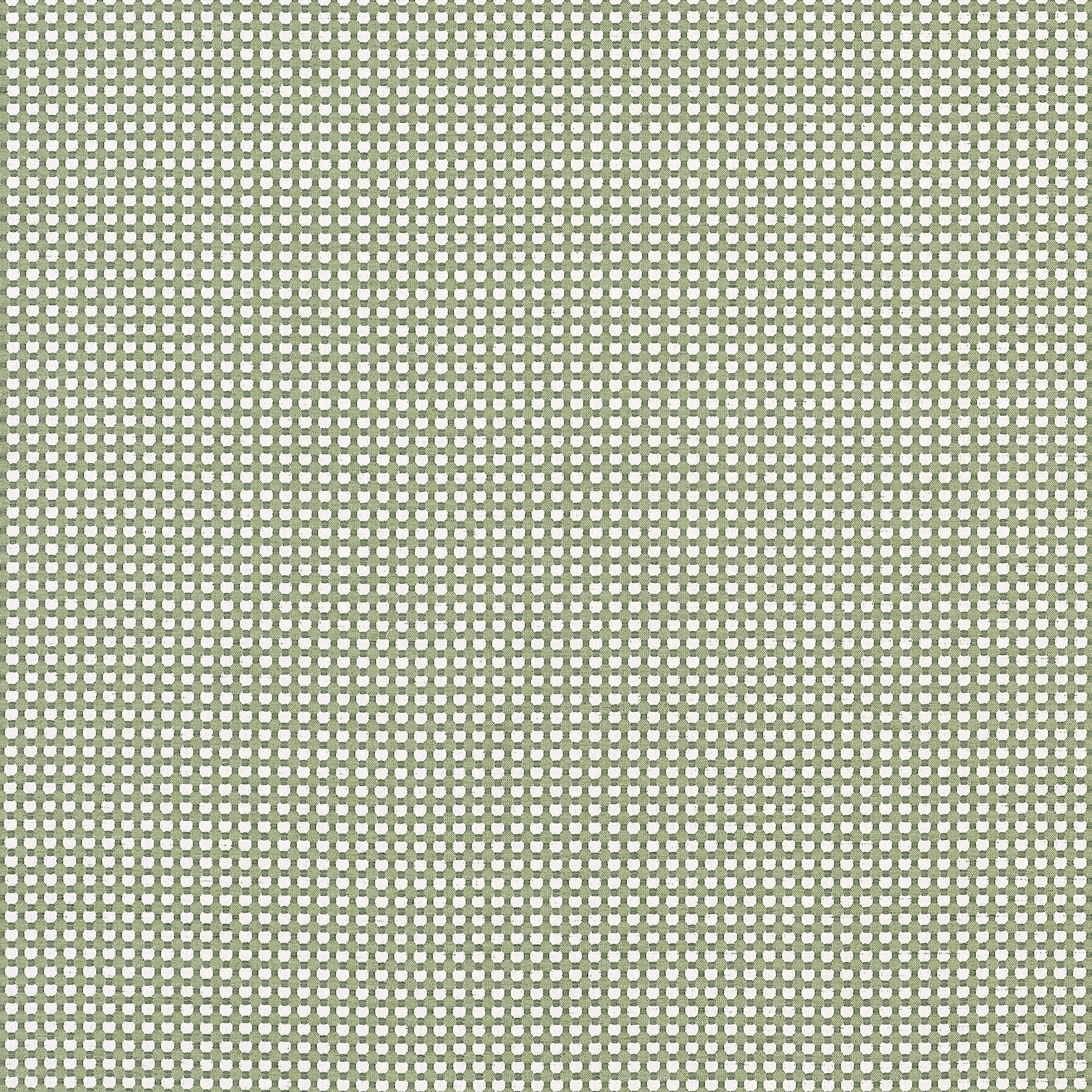 DARCY - Leaf