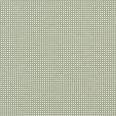 DARCY - Leaf