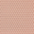 GENIE - Terracotta