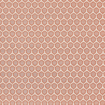 GENIE - Terracotta