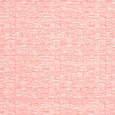 CESTINO - Seashell