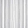 KAIA STRIPE - Sterling