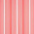 KAIA STRIPE - Coral