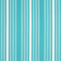 KAIA STRIPE - Capri