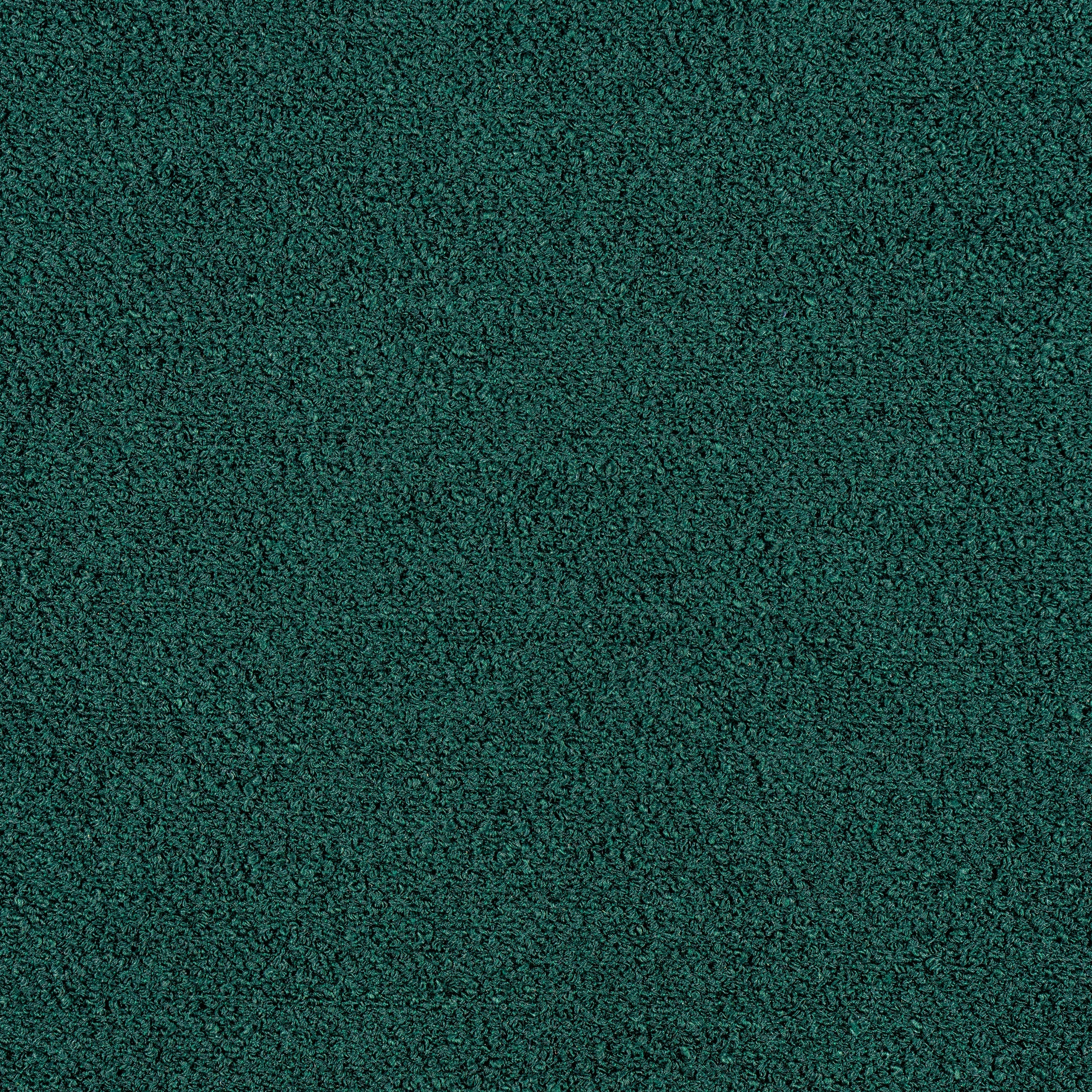CAPRA - Forest