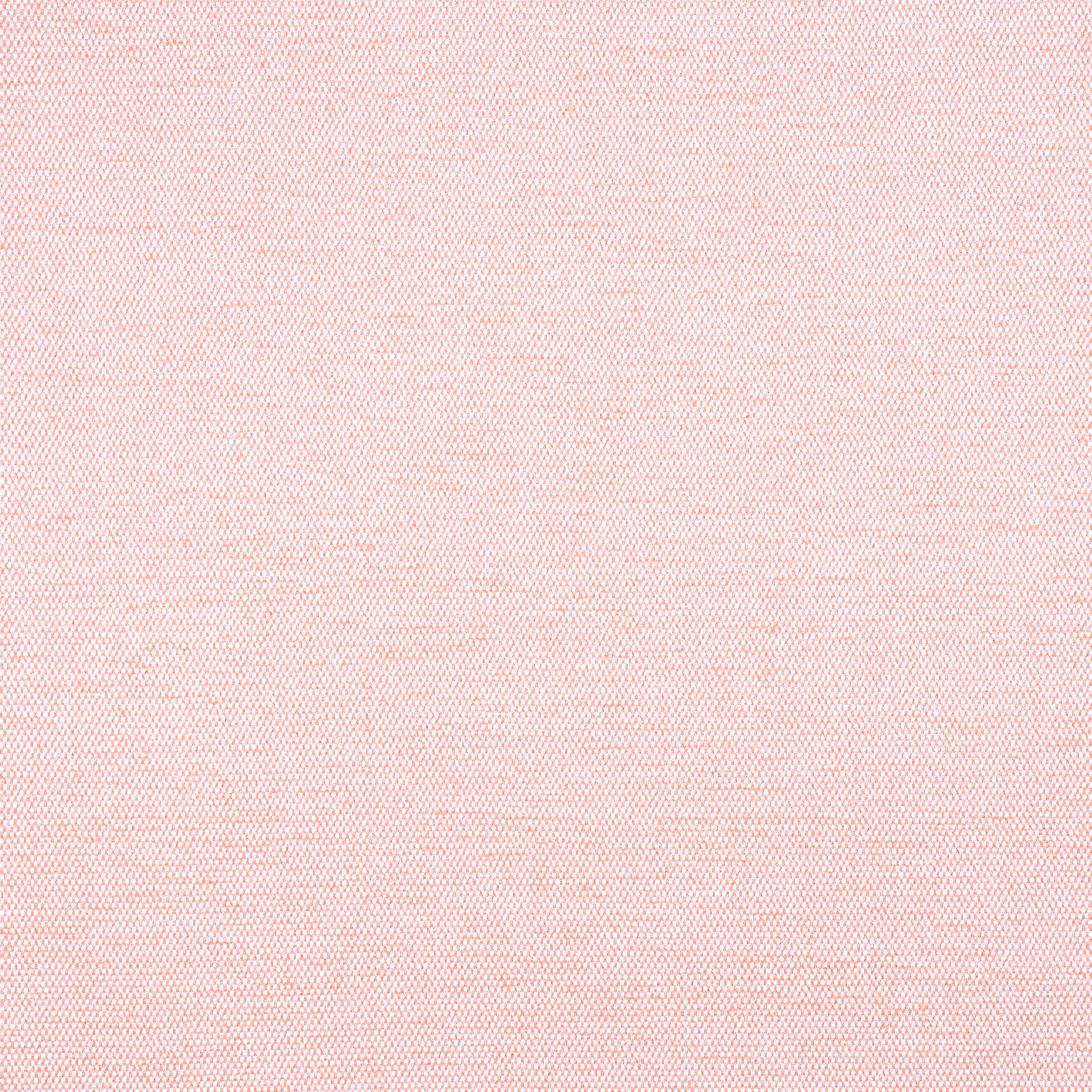 CLARA - Seashell