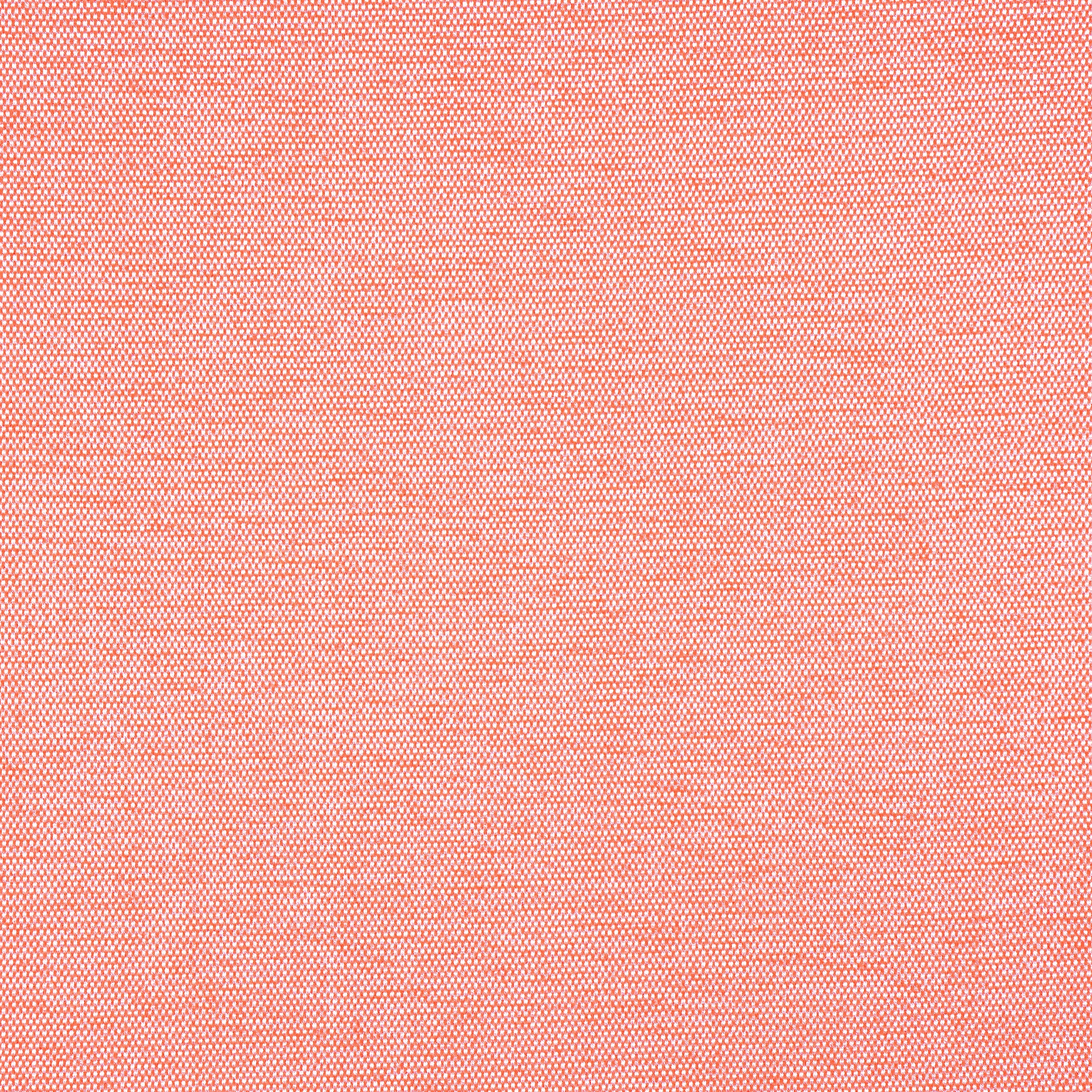 CLARA - Coral