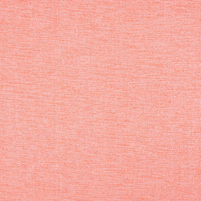 CLARA - Coral