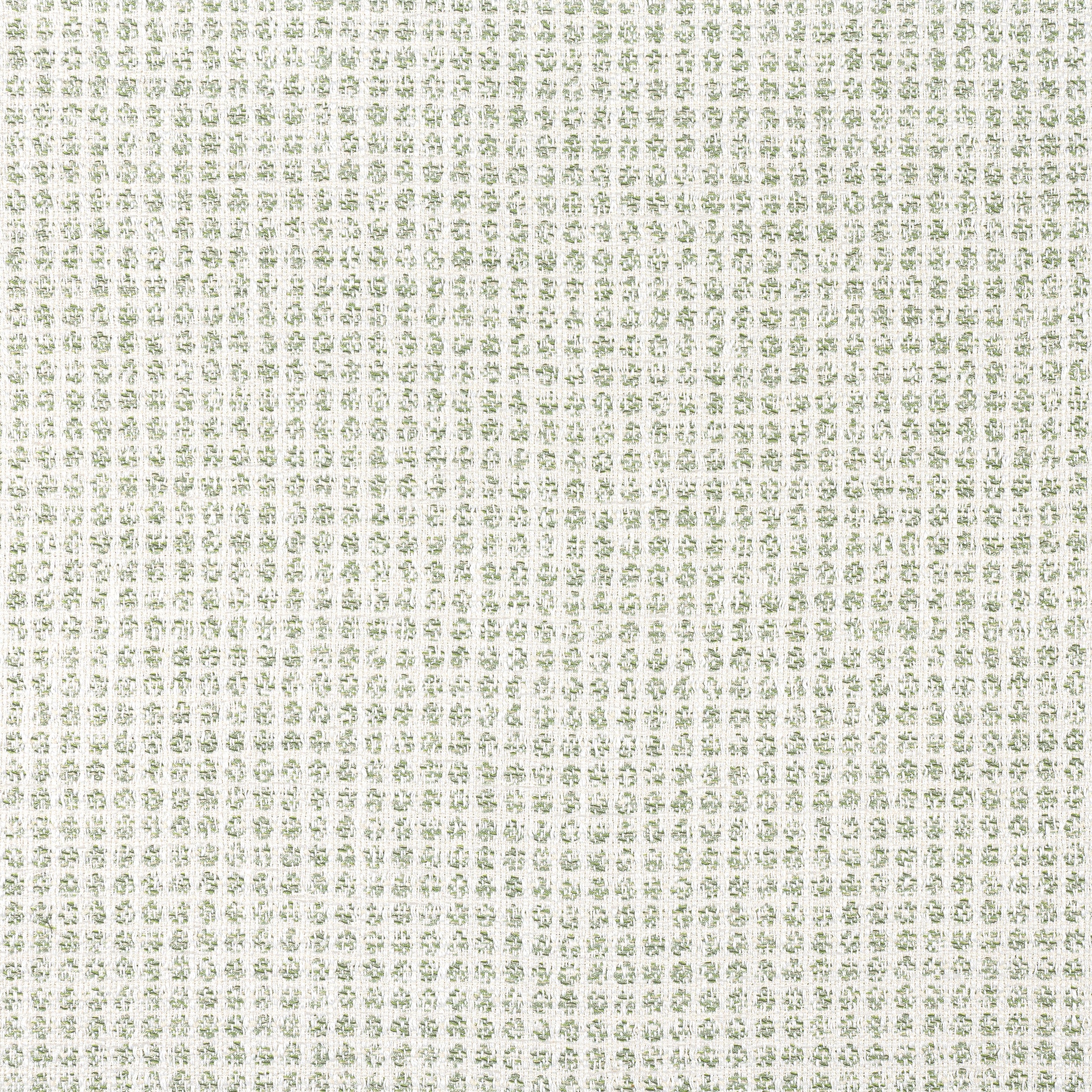 REMY DOT - Aloe
