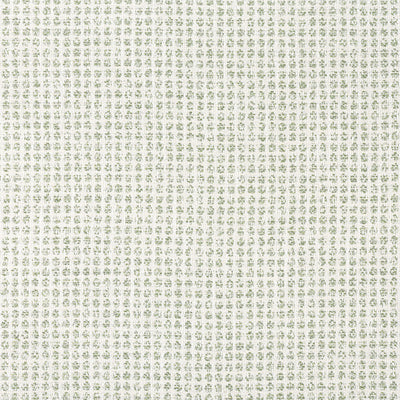 REMY DOT - Aloe