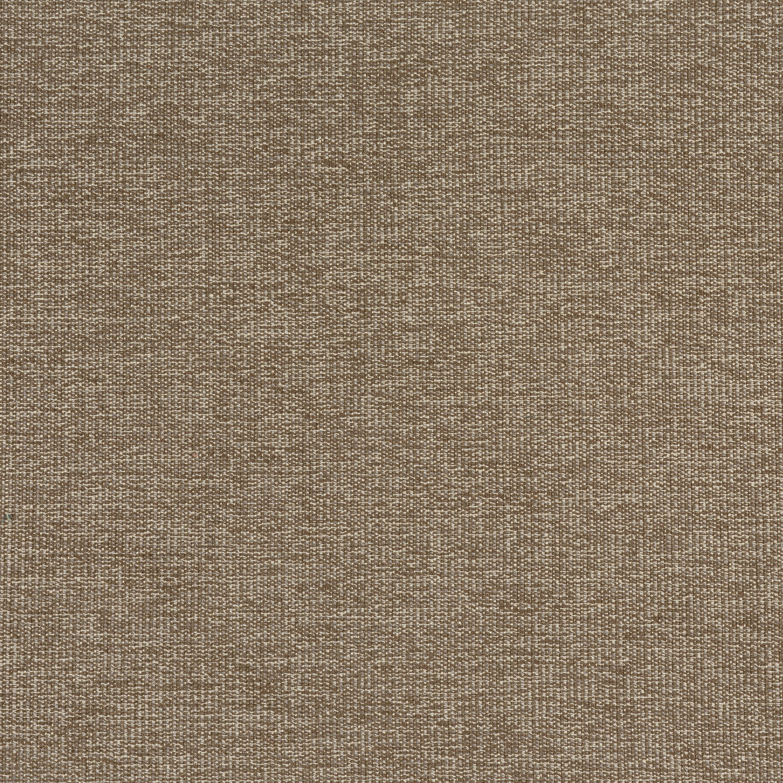SACCHI - Mocha