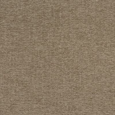 SACCHI - Mocha