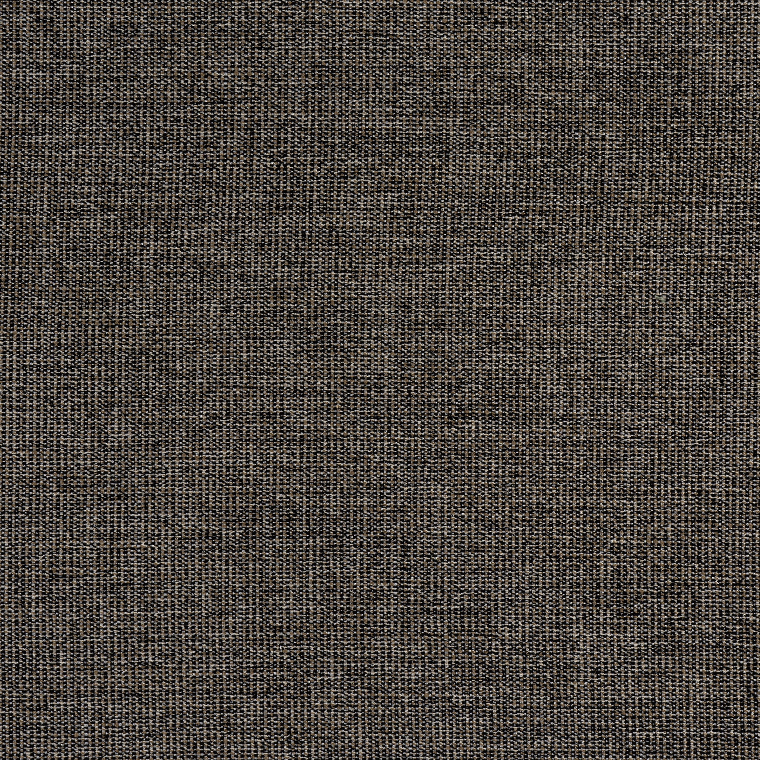 SACCHI - Ebony