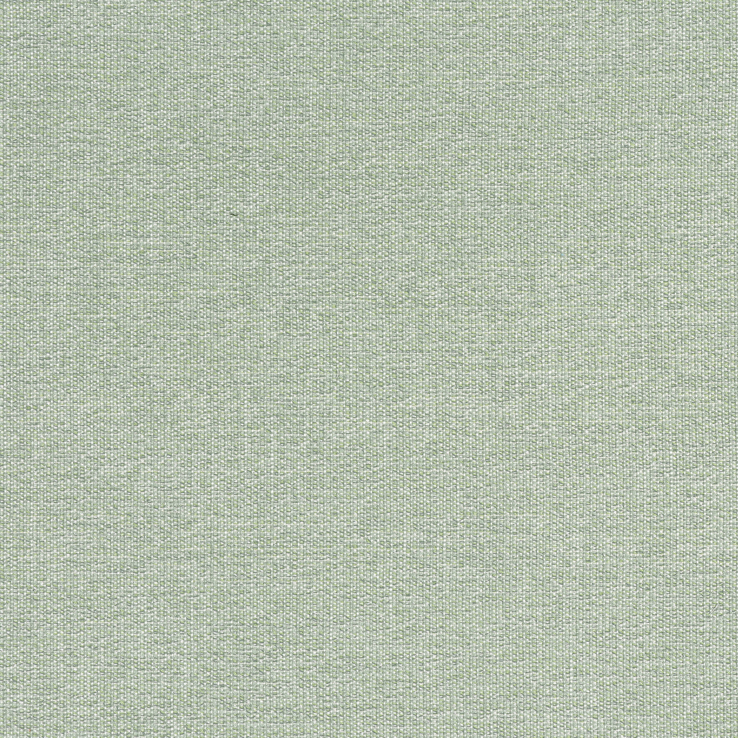 SACCHI - Aloe