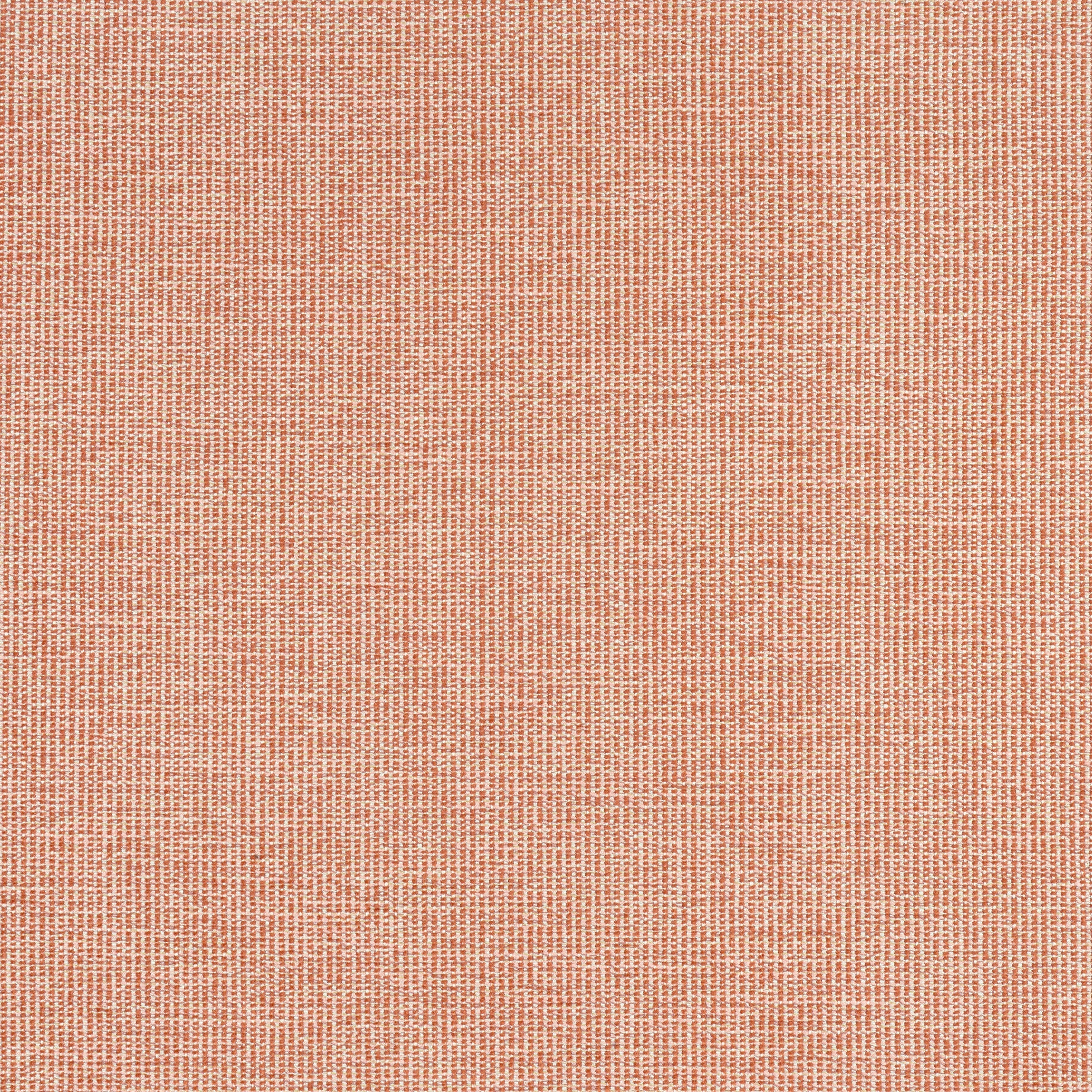 SACCHI - Terracotta