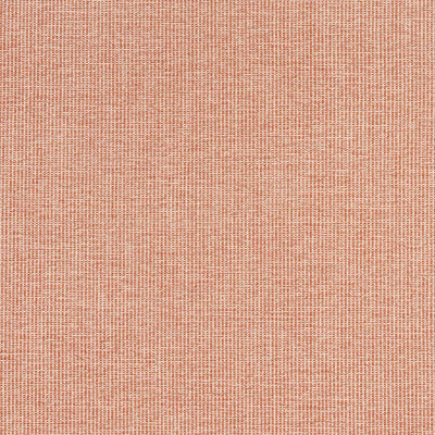 SACCHI - Terracotta