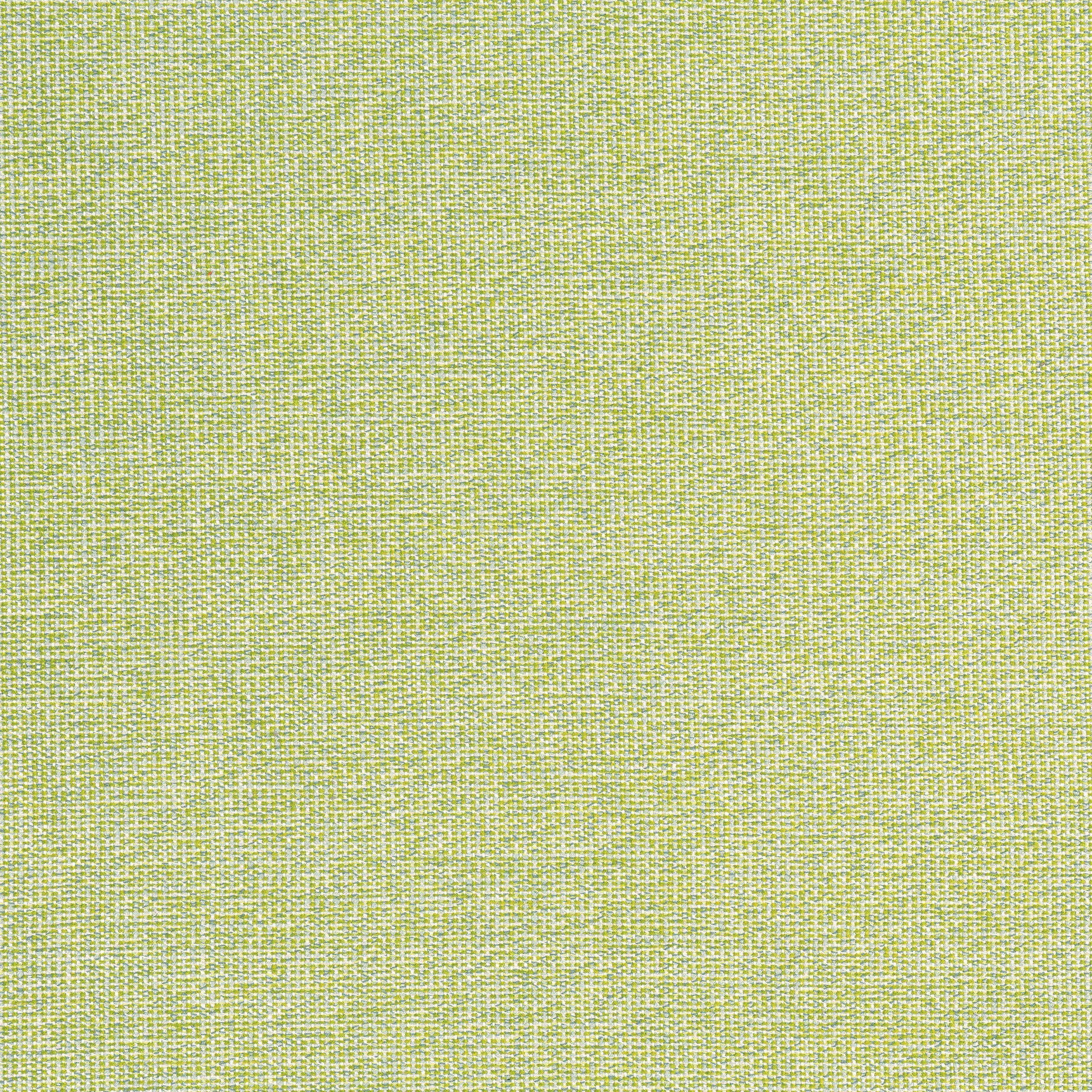 SACCHI - Leaf