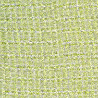 SACCHI - Leaf