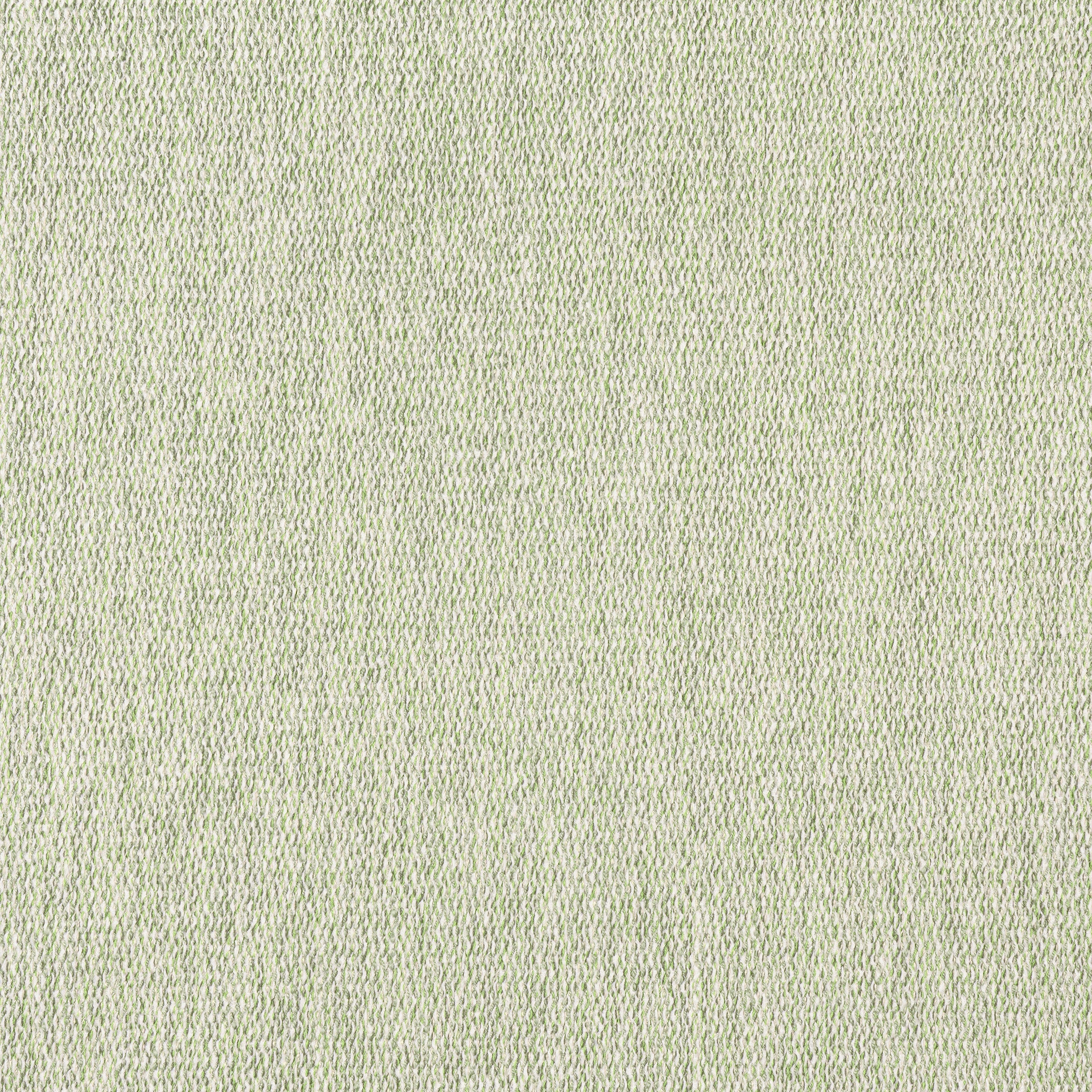 ARROYO - Aloe
