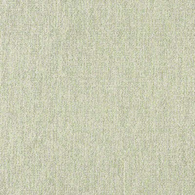 ARROYO - Aloe