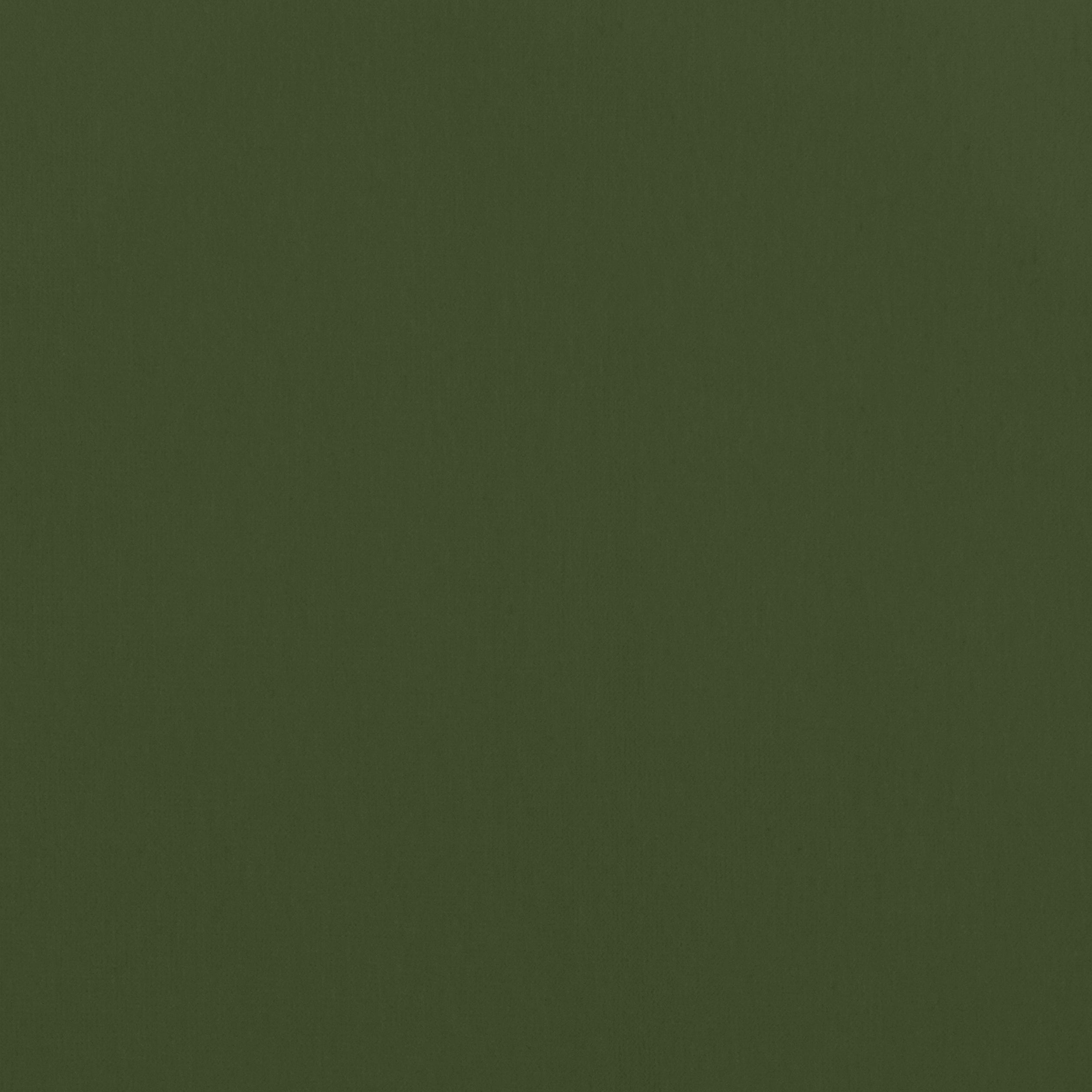 ALTO VELVET - Olive