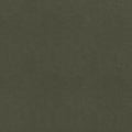 CORDOBA - Olive
