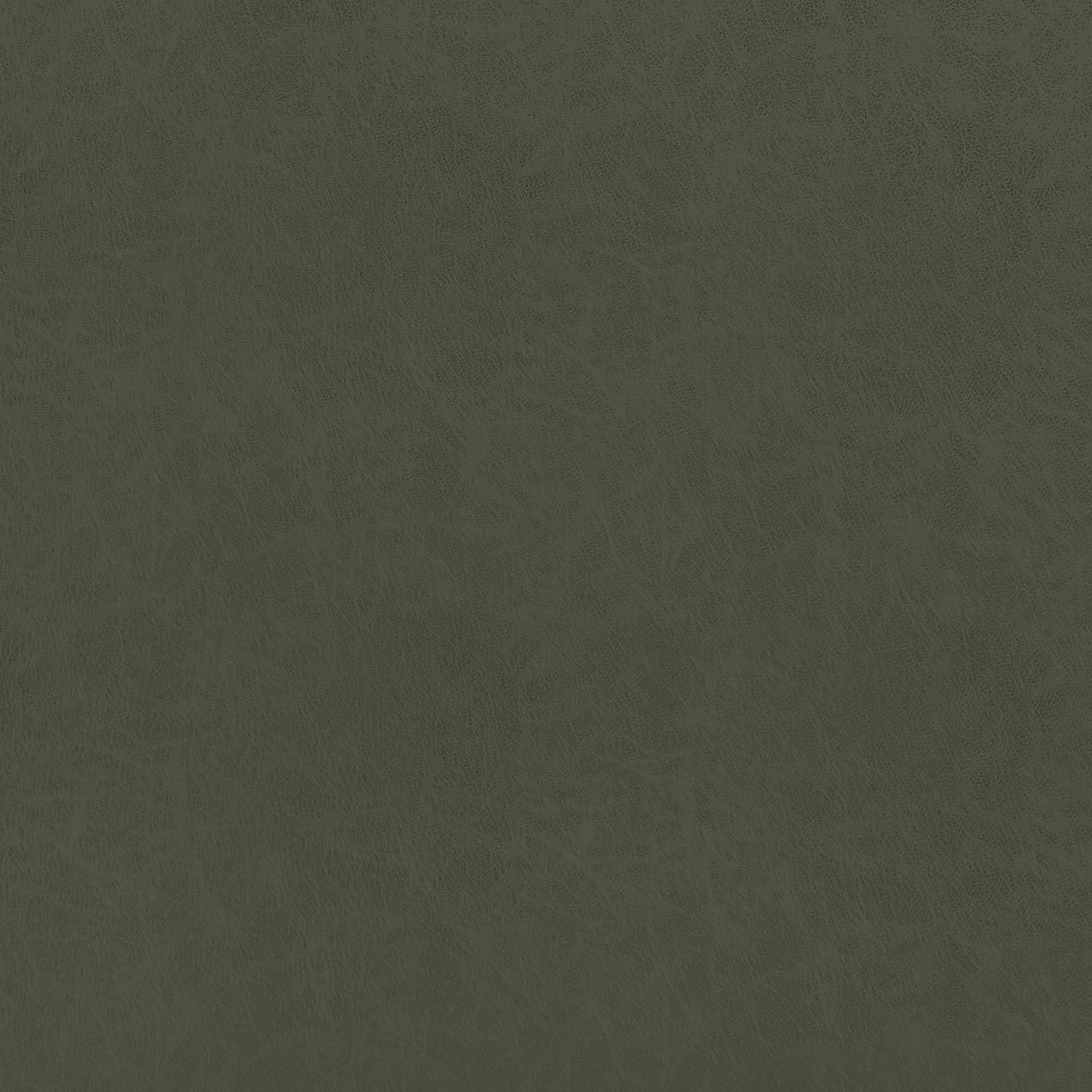CORDOBA - Olive