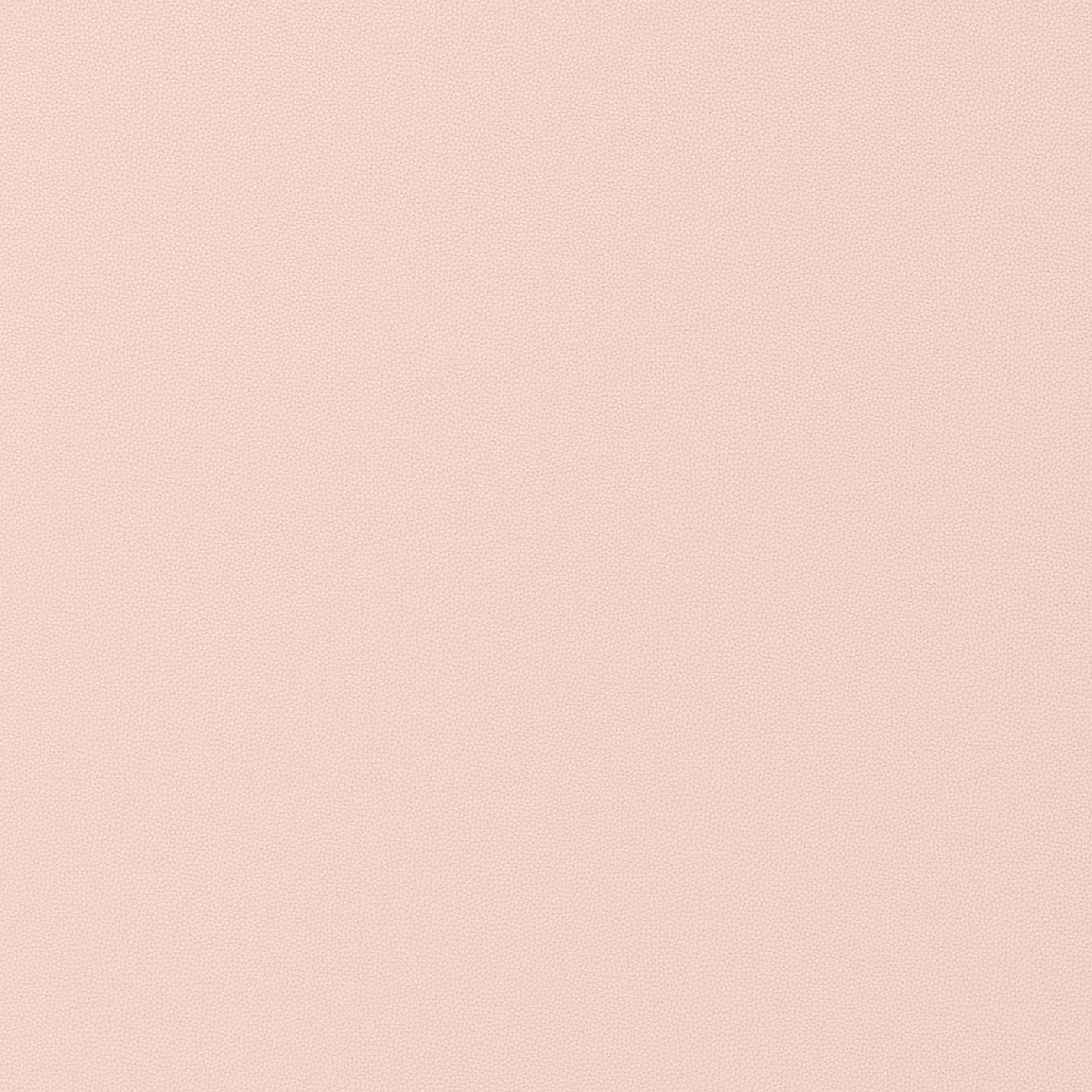 SALTA - Blush
