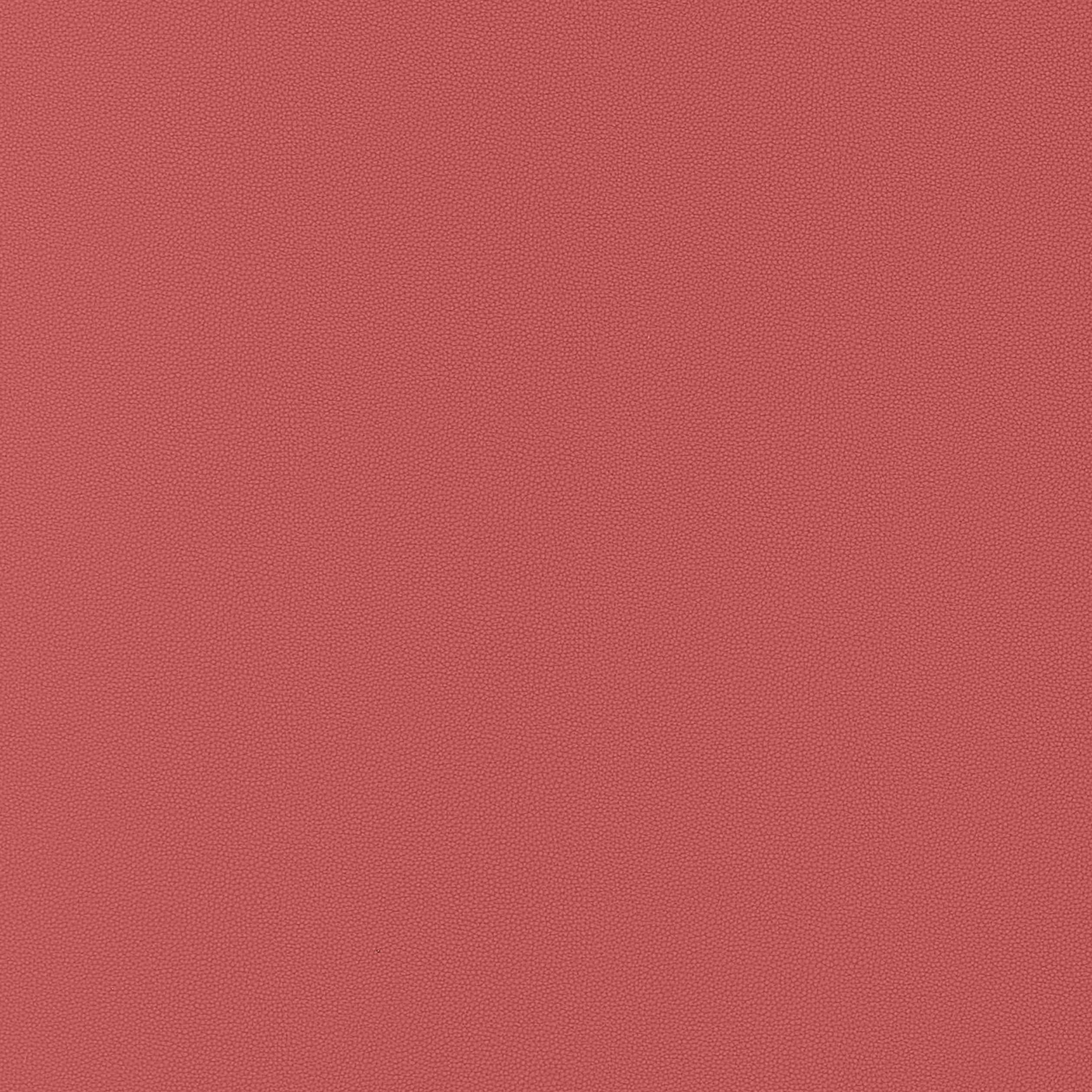 SALTA - Rouge