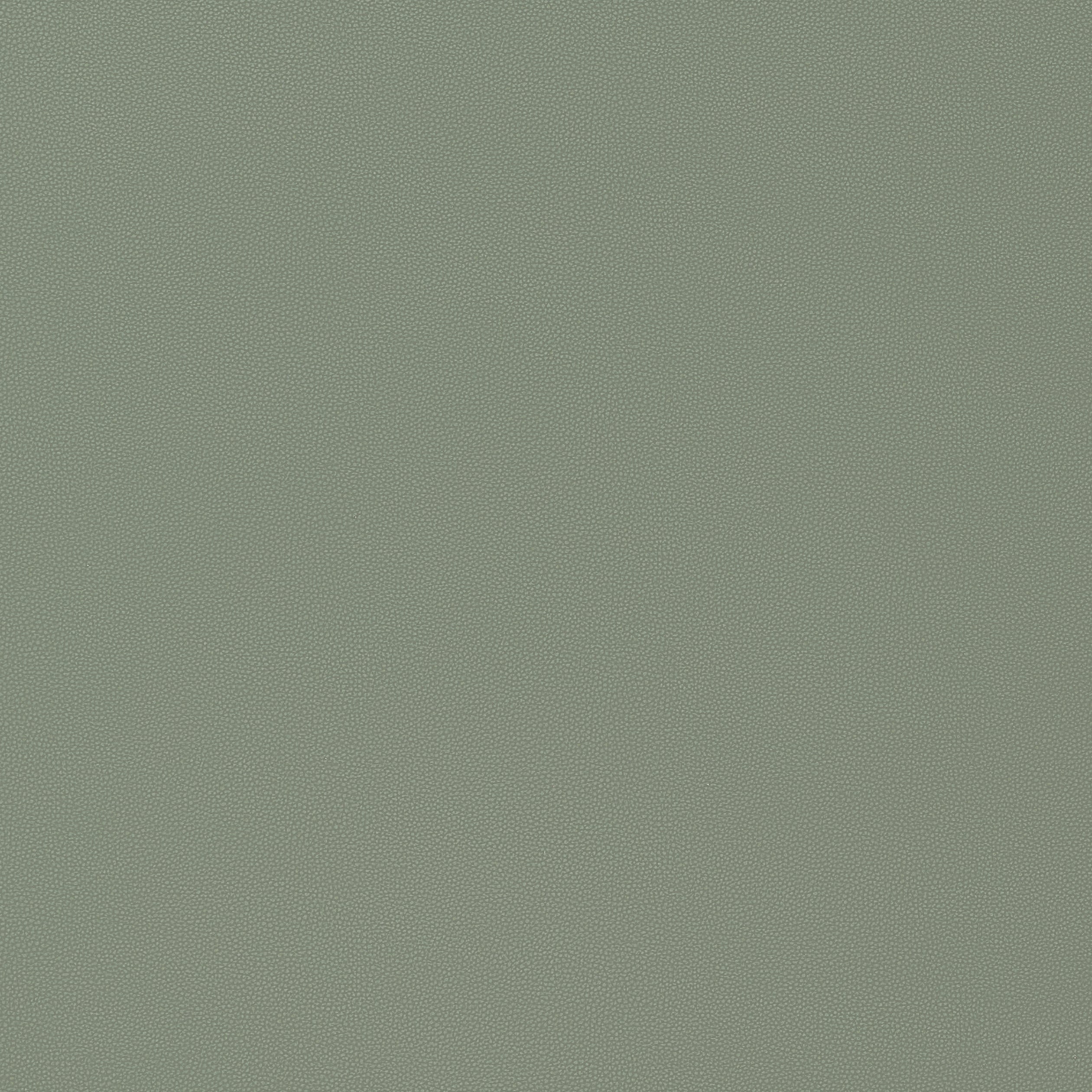 SALTA - Jade