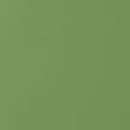 SALTA - Kiwi