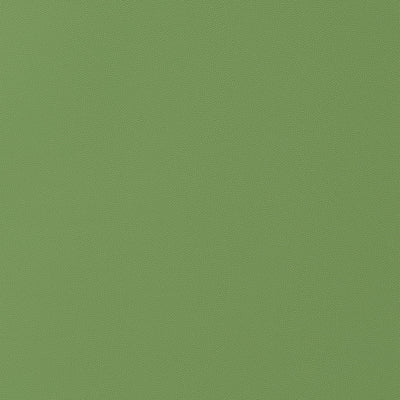 SALTA - Kiwi