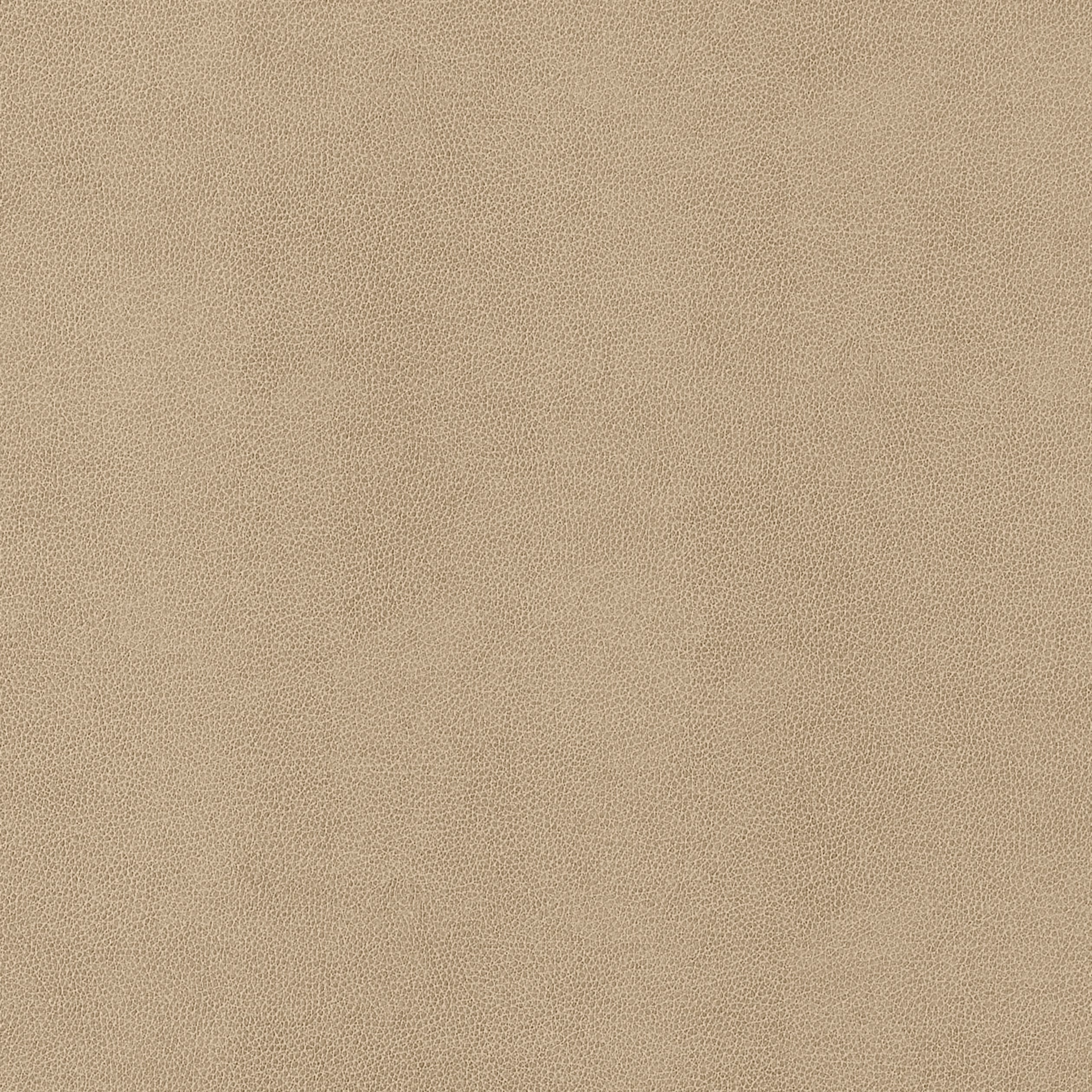 GAUCHO - Fawn