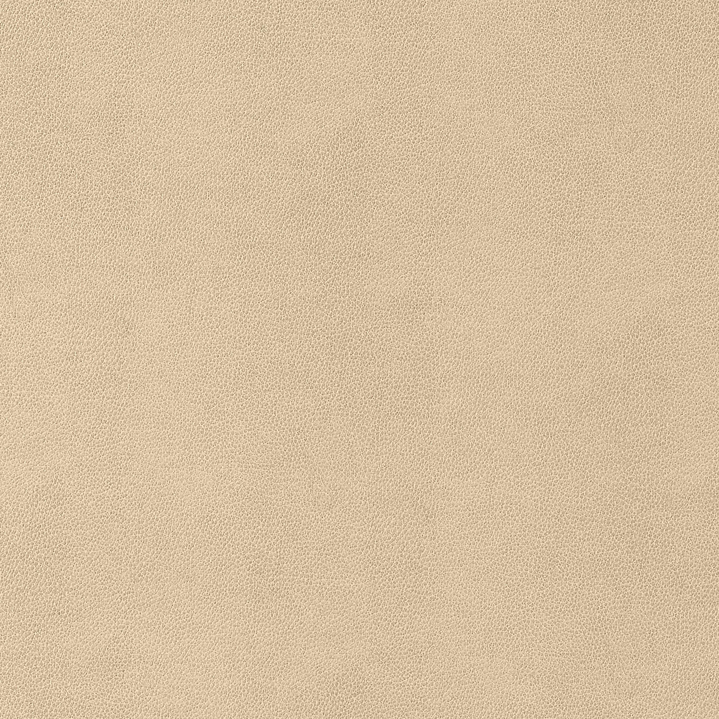 GAUCHO - Suede