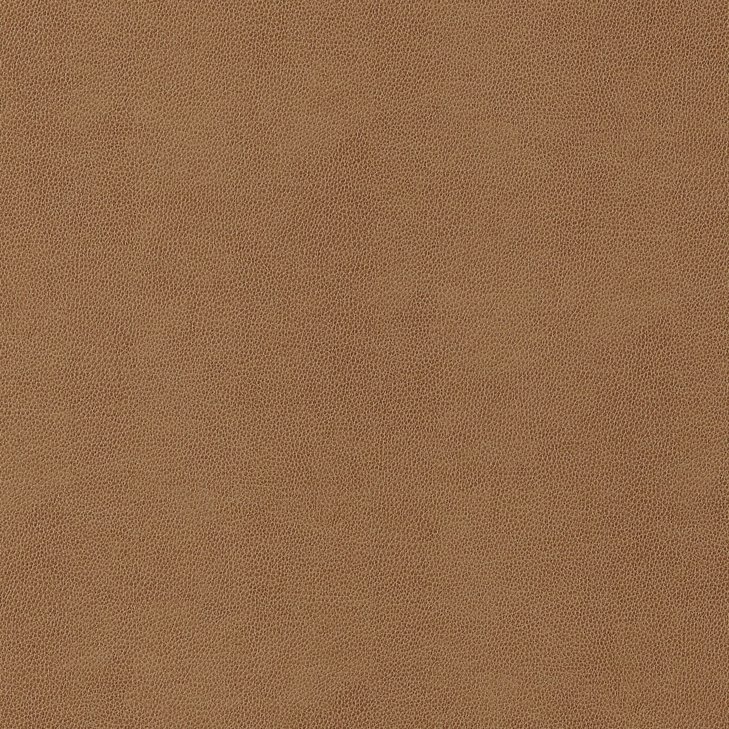 GAUCHO - Cedar