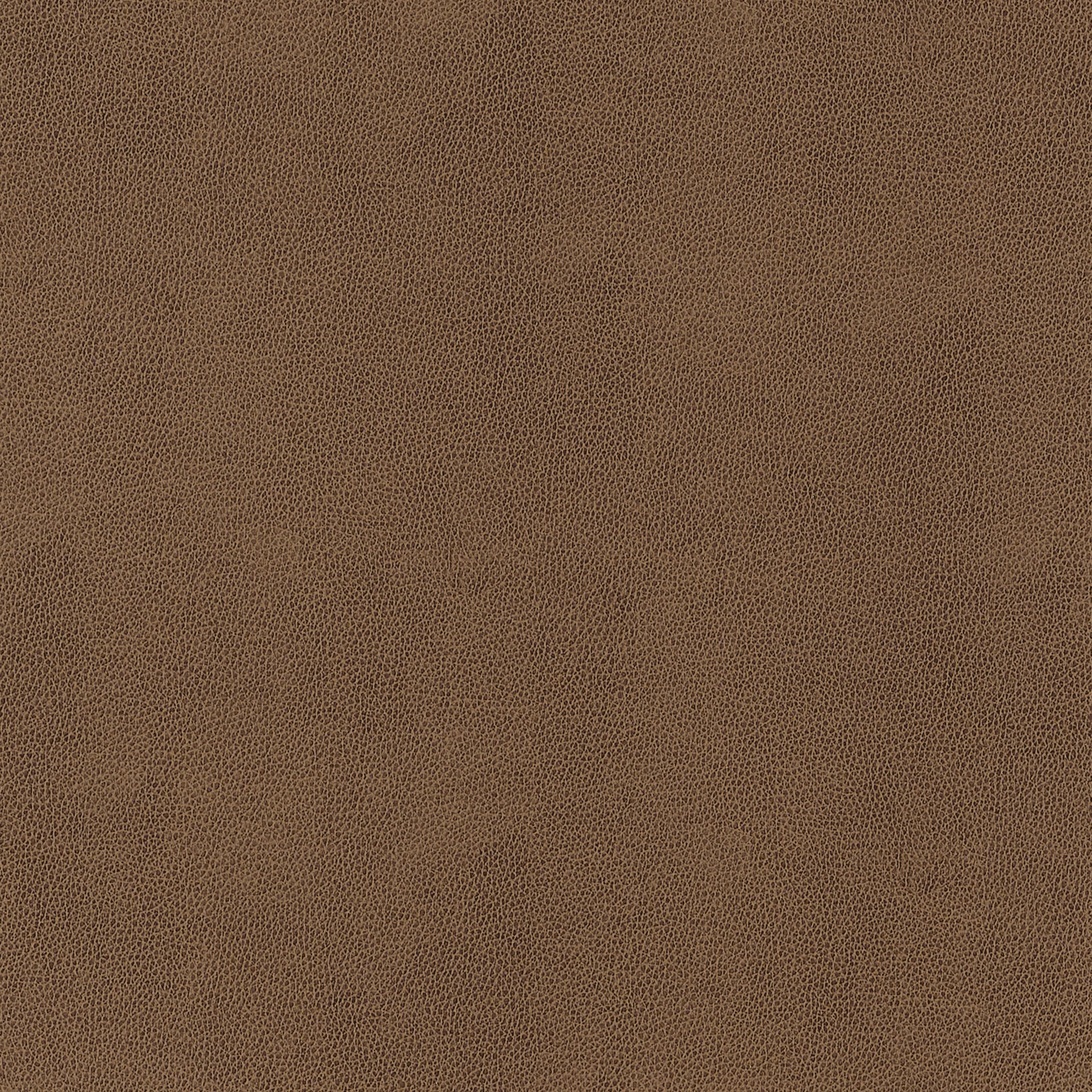GAUCHO - Chestnut